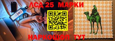 дурь Будённовск